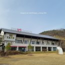 벽화 | 영천 당일치기 여행(21.03.29.)