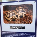 임실자연농원
