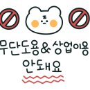 레드애플유치원 이미지