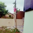 엔게디하우스 이미지