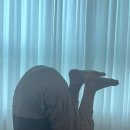 다움요가 이미지