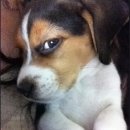 언니따라 이미지