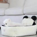 바오도그 이미지