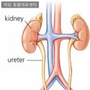 헤이데이짐 이미지