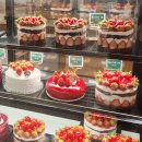 박종현베이커리 이미지