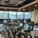 마인드휘트니스 이미지