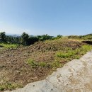 서귀포 공인중개사 사무소 이미지