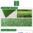 선화조경