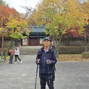 낙성대공원 이미지