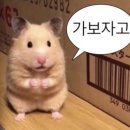 진순자계란말이 이미지