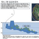 쌍정초 이미지