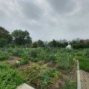 양수농장 이미지