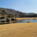 동아베스트골프클럽 | 충북 충주골프장 동촌CC 3월 골프 라운딩후기