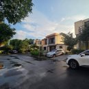 스테이 도토리 이미지