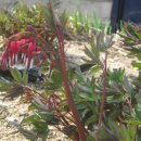 중말농장 이미지