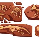 충남대학교 자연사박물관 이미지