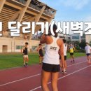 (주)요헤미티