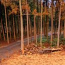 동화숲민박 이미지