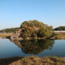 영강체육공원 농구장 이미지