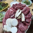 세연한우암소