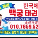 한국체대백궁태권도