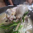 금수레 | 제주 백숙 맛집 제주시 금수레 토종닭 백숙 오리백숙 추천
