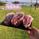 진수목장 | 제주도 흑돼지 삼겹 목살 맛집 ! 꺼멍목장 흑돼지의 진수, 꺼멍목장