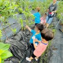 상록 농장 이미지