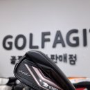이존스크린골프 | 여성 비거리 아이언 추천 요넥스 로얄이존 06 아이언 최저가 구입
