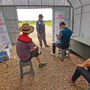 선학텃밭화장실 이미지