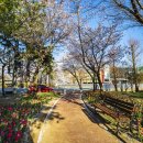 대청(계동)공원 이미지