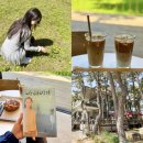 강릉스테이이플 | 강릉 사천 카페 추천 순포습지 힐링 테라로사 5월 강릉 여행 가볼만한곳