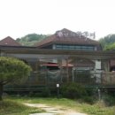 한채쭈꾸미 이미지