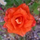 만다공인중개사사무소 이미지