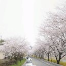 남도187