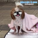 사동주유소 이미지