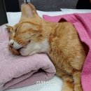 동오축산 이미지