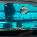 부산해양박물관 이미지