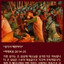배반 이미지