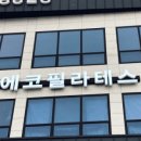 에코필라테스 네이버블로그