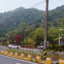 서짓골(2013년) 이미지