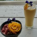 샤카 (SHAKA) | 세부 모알보알 맛집 샤카 shaka 아사이볼 메뉴 후기