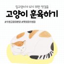 AMI PET 이미지