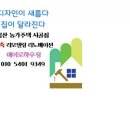 하례광장로 | 제주귤10kg 제주 바띠가게 친환경귤 새콤달콤한 맛에 반했어요