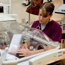 예천노인전문요양원 | 예천노인전문요양원 부모님을 위한 최적의 선택, 왜 이곳일까?