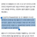 문다혜 책 디자인비 2억원 미스터리 이미지