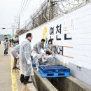 함께 그리는 연천 이미지