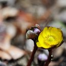 둘이 만드는 단 하나의 사랑...........May Be / 이루마 외.. 이미지