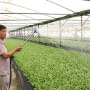 김기철 농장 이미지