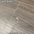 호반베르디움작은도서관 | 평택 마루찍힘 복원, 소사벌호반베르디움 마루 복원 작업 후기